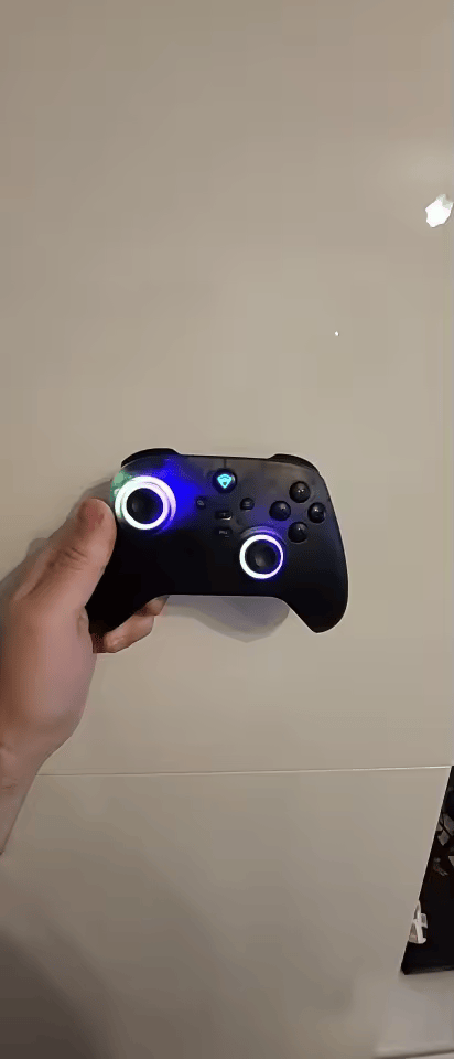 Hall Effect Controller Gaming Setup